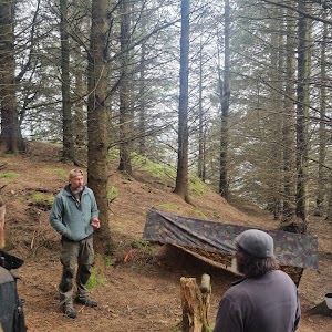 Caru Coed Woodland Adventures place picture